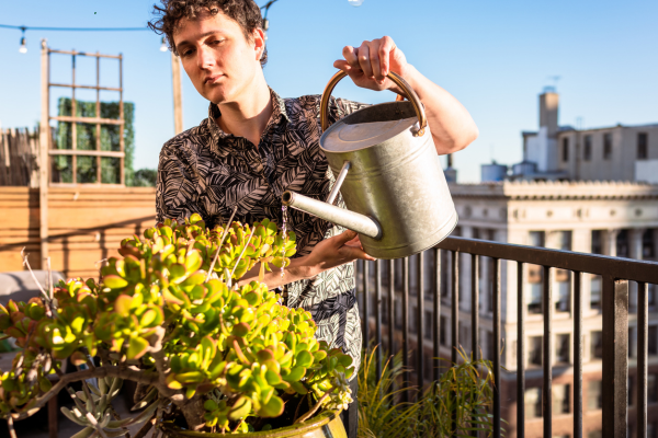 Watering Schedules for Slow-Growing Rare Varieties